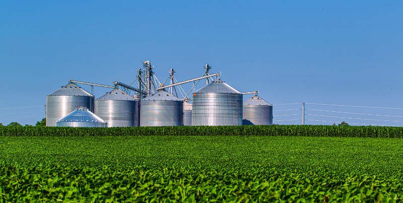 Seguro Rural: instrumento fundamental na gestão dos riscos do Agronegócio